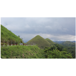 Bohol