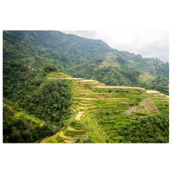 Ifugao