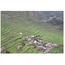 Sagada & Banaue