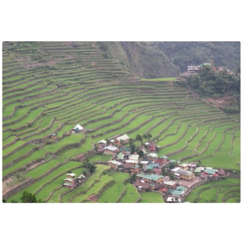 Sagada & Banaue